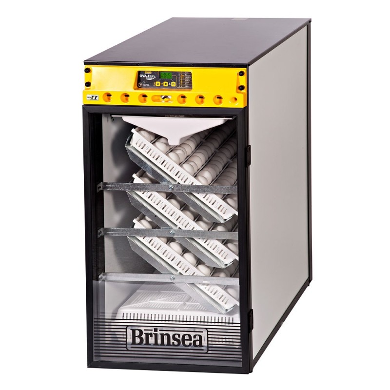 Incubadora automática de huevos OvaEasy 380 Advance EX Serie II